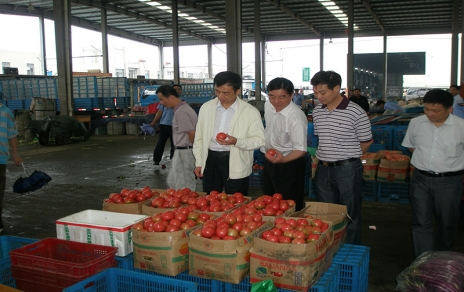 2011年6月嘉興市委常委、市政府常務(wù)副市長(cháng)蔣唯民一行蒞臨蔬菜市場(chǎng)視察菜籃子供應工作