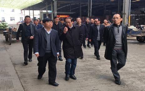 2017年3月16日下午，嘉興市委常委、常務(wù)副市長(cháng)樓建明帶領(lǐng)市級相關(guān)部門(mén)負責人視察嘉興蔬菜批發(fā)市場(chǎng)