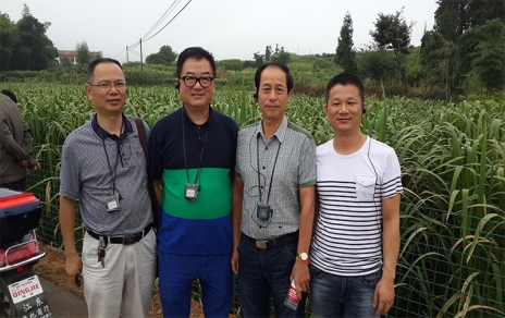 2014年8月，中國蔬菜流通協(xié)會(huì )會(huì )長(cháng)戴中久與公司、市場(chǎng)領(lǐng)導一起考察蔬菜基地