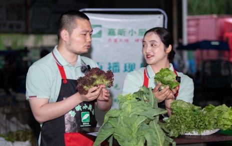 千金如玉，一口清心--生菜?油麥菜?萵筍直播專(zhuān)場(chǎng)